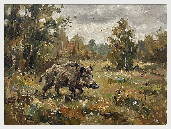 Wild Boar In Nature