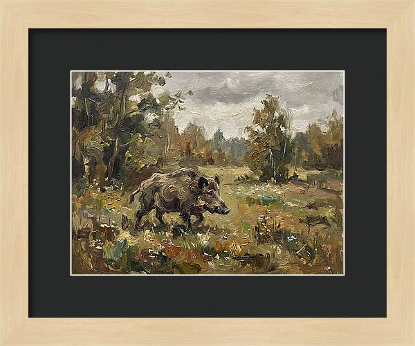 Wild Boar In Nature
