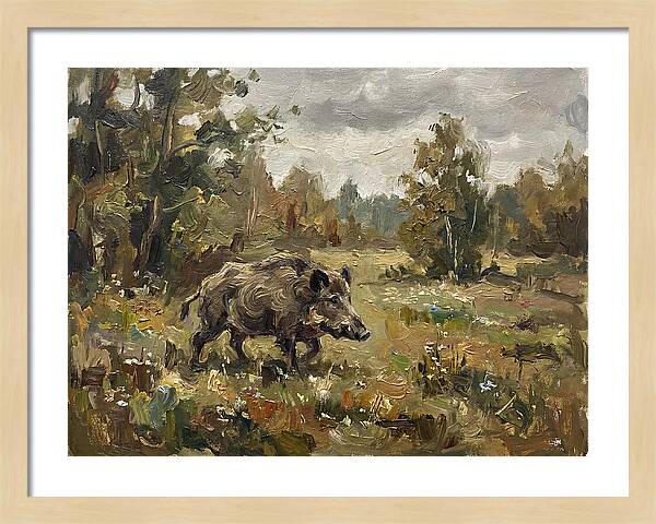 Wild Boar In Nature