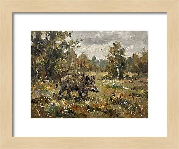 Wild Boar In Nature