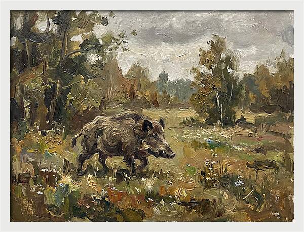 Wild Boar In Nature