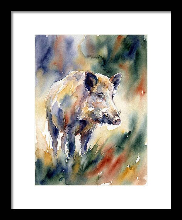 Wild Boar In Watercolor