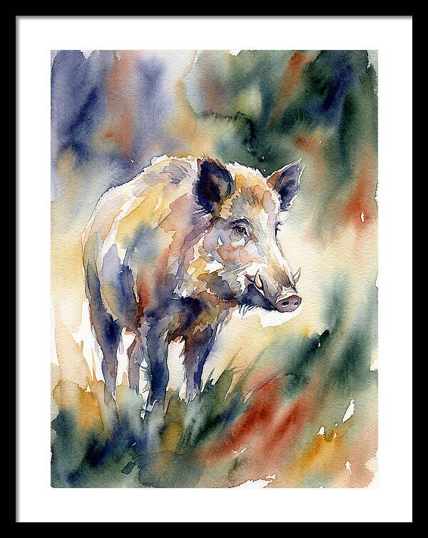 Wild Boar In Watercolor