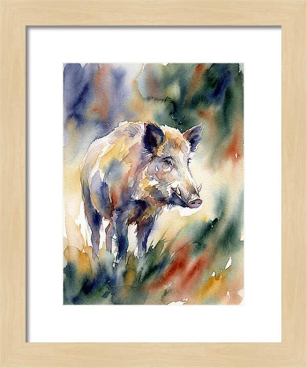 Wild Boar In Watercolor