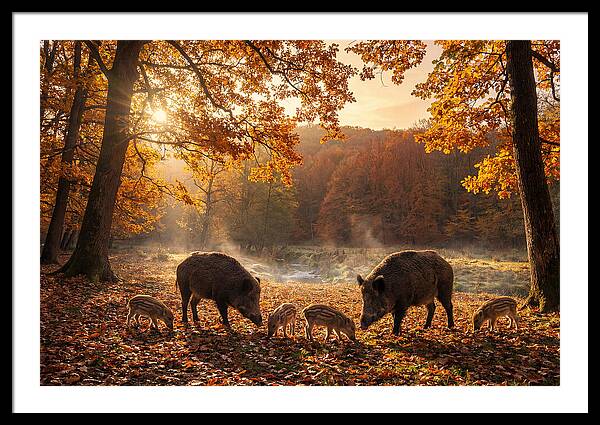 Golden Leaf Art