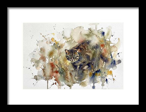Wild Flatheaded Cat Encounter