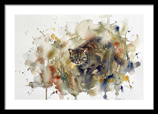 Wild Flatheaded Cat Encounter