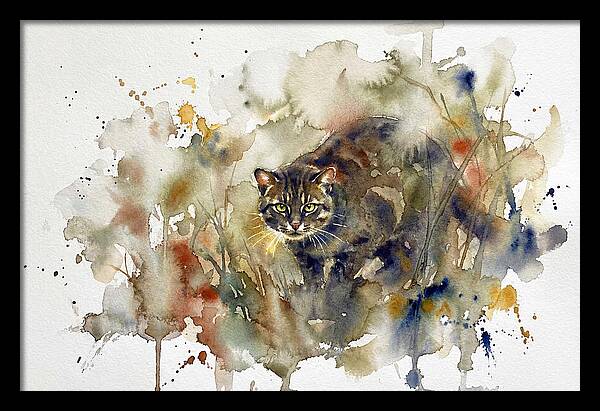 Wild Flatheaded Cat Encounter