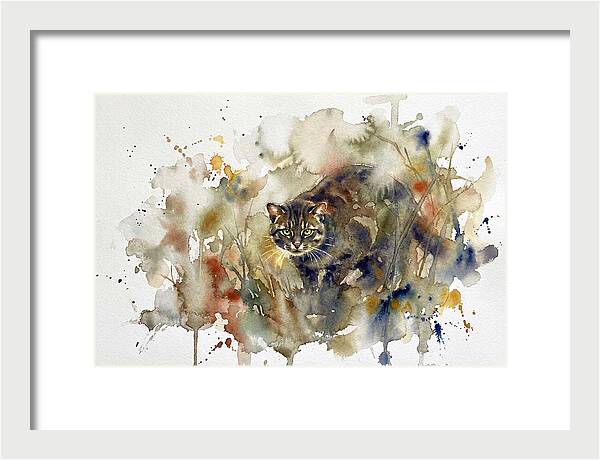 Wild Flatheaded Cat Encounter