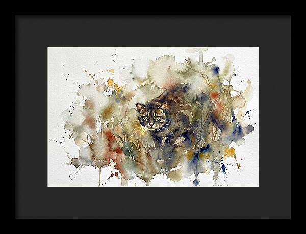 Wild Flatheaded Cat Encounter