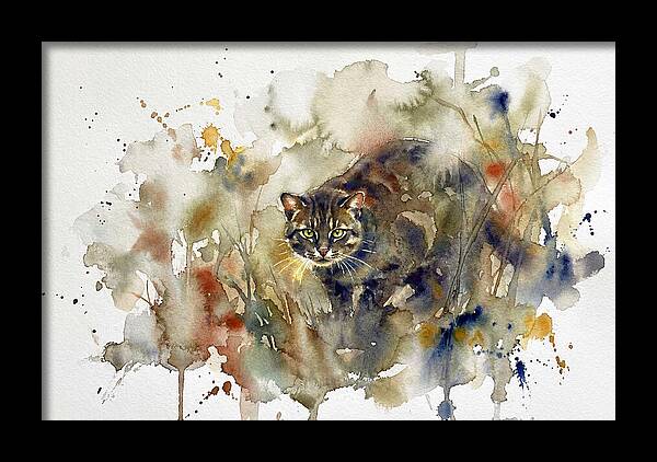 Wild Flatheaded Cat Encounter
