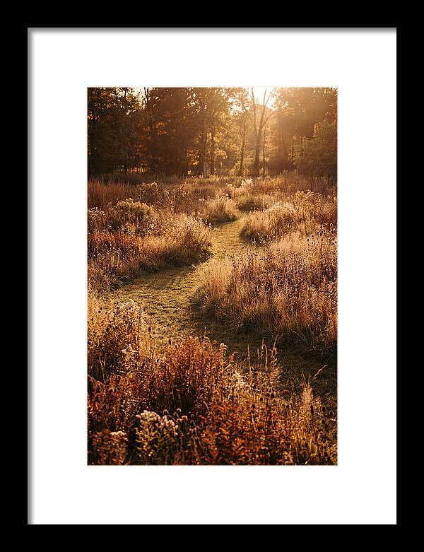 Wild Meadow Pathways In Autumn