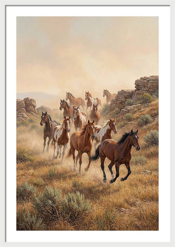Wild Mustangs Running Free