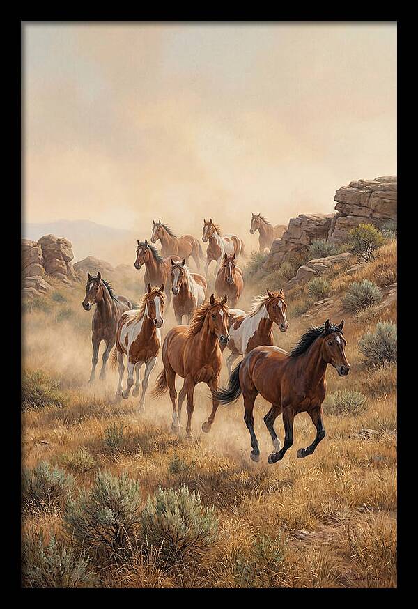 Wild Mustangs Running Free