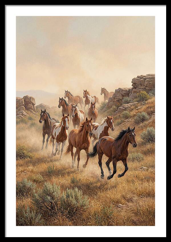 Wild Mustangs Running Free