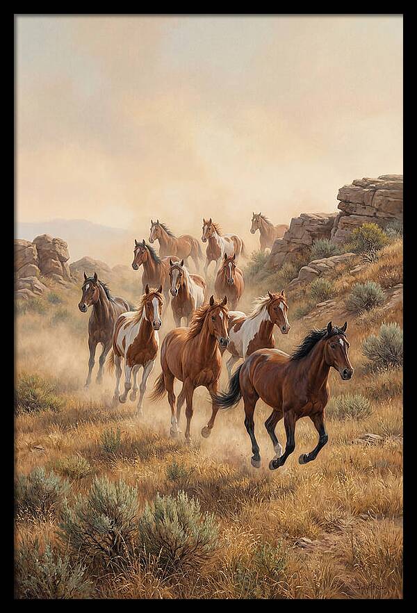 Wild Mustangs Running Free