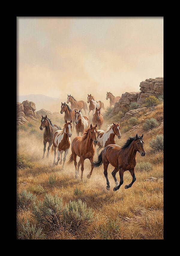 Wild Mustangs Running Free