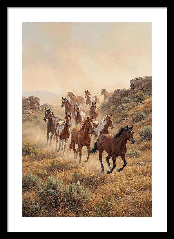 Wild Mustangs Running Free