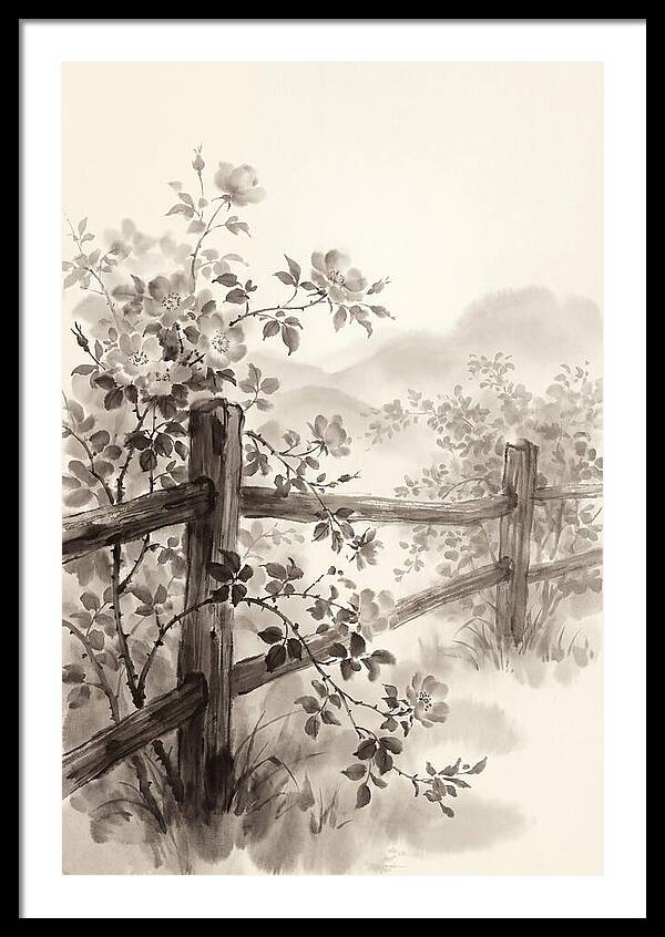 Wild Roses Along Rustic Fence