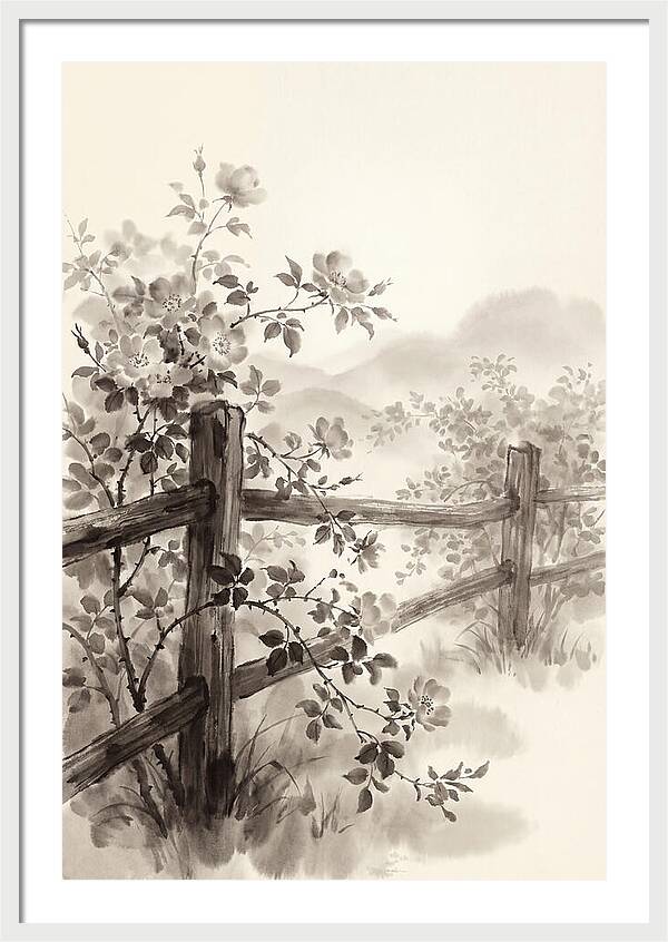 Wild Roses Along Rustic Fence