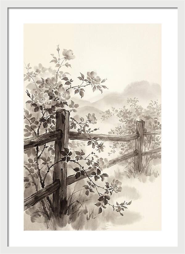 Wild Roses Along Rustic Fence