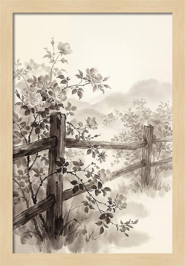 Wild Roses Along Rustic Fence