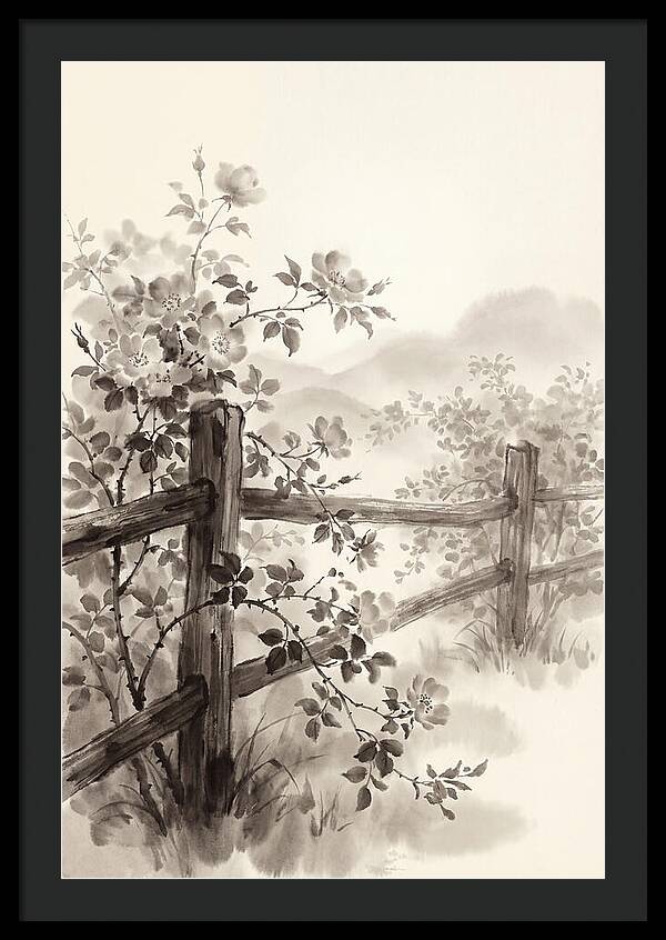Wild Roses Along Rustic Fence