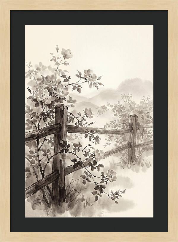 Wild Roses Along Rustic Fence