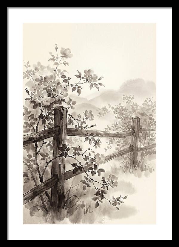 Wild Roses Along Rustic Fence
