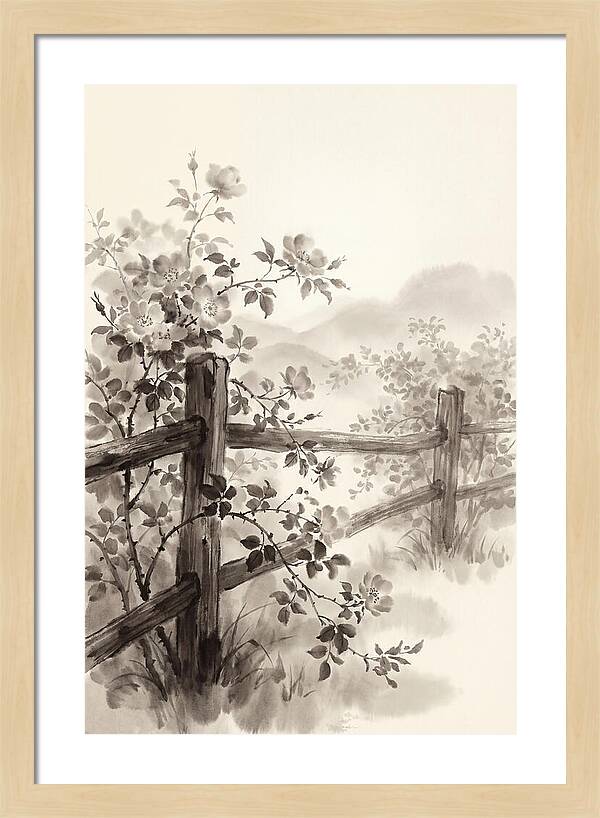 Wild Roses Along Rustic Fence