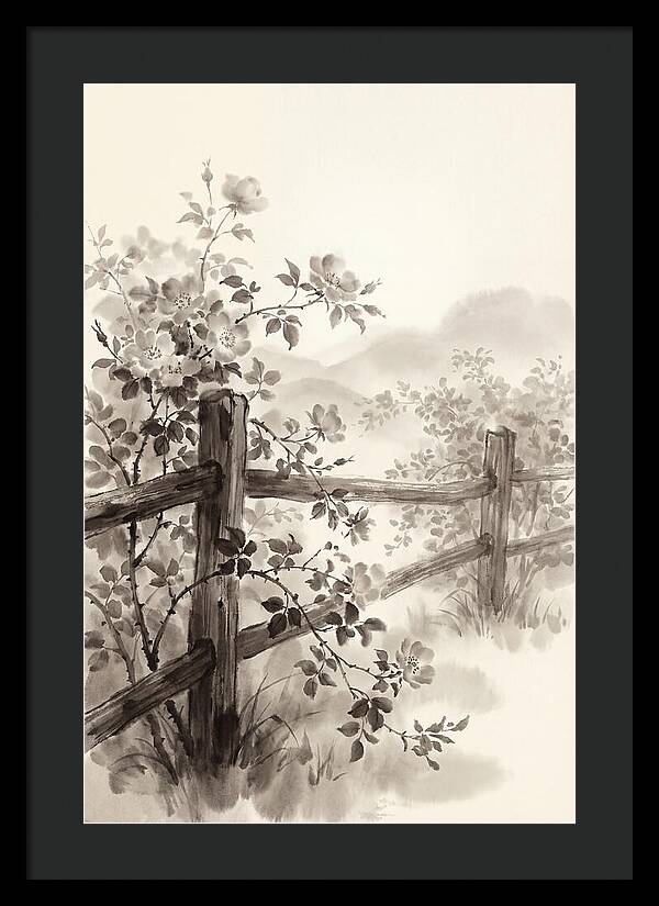 Wild Roses Along Rustic Fence