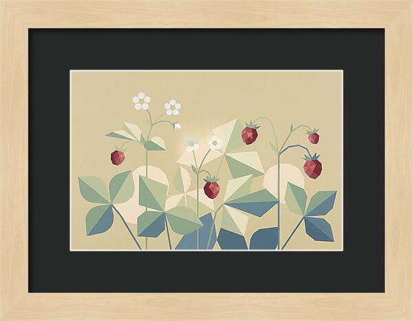 Wild Strawberry Plant Delight
