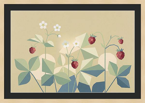 Wild Strawberry Plant Delight