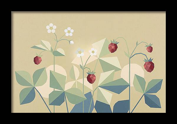 Wild Strawberry Plant Delight