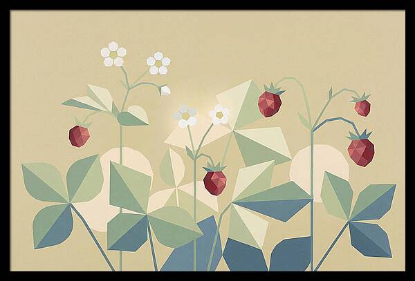 Wild Strawberry Plant Delight