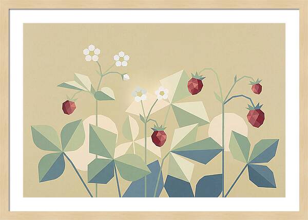 Wild Strawberry Plant Delight