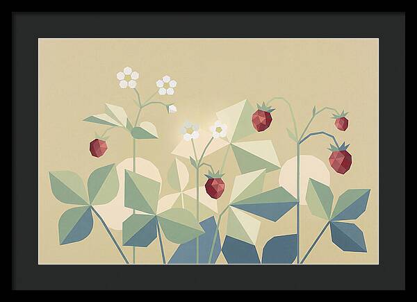 Wild Strawberry Plant Delight