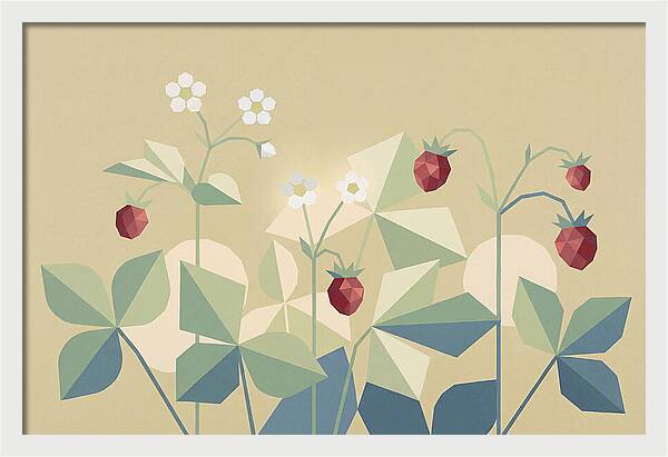Wild Strawberry Plant Delight