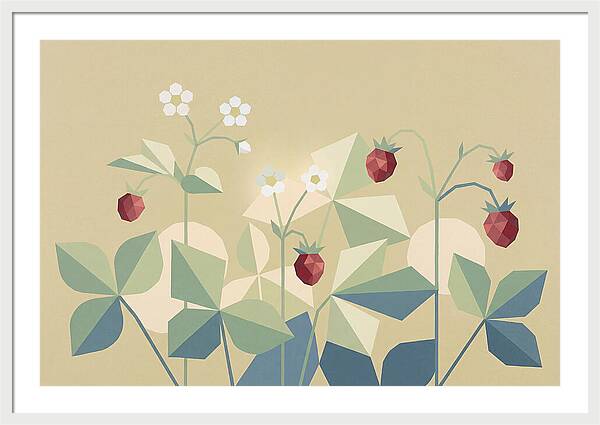 Wild Strawberry Plant Delight