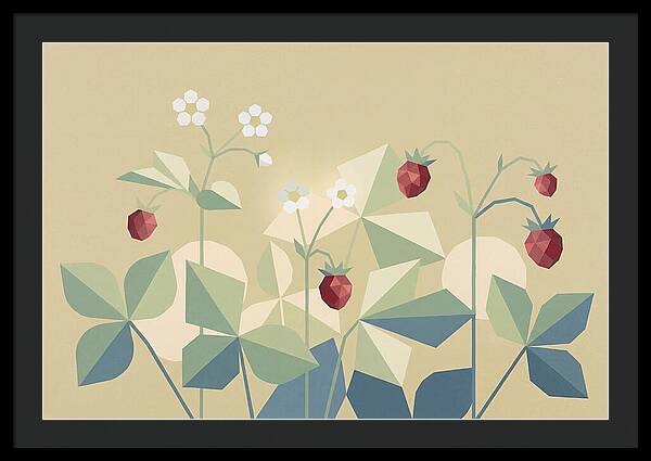 Wild Strawberry Plant Delight