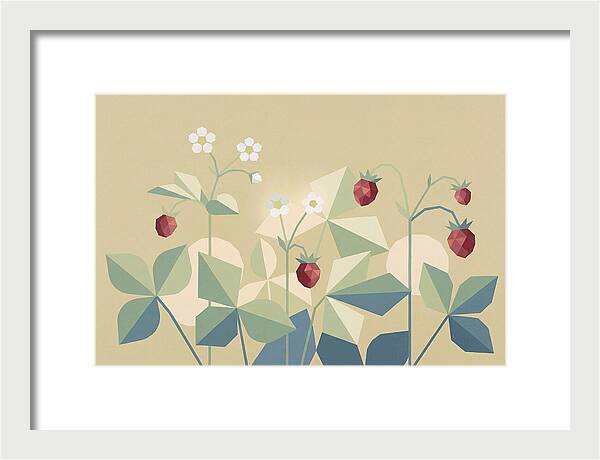 Wild Strawberry Plant Delight