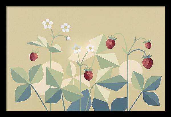 Wild Strawberry Plant Delight