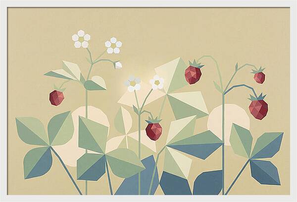 Wild Strawberry Plant Delight