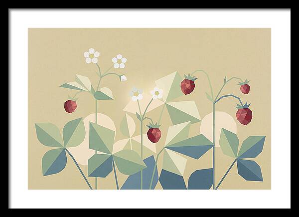 Wild Strawberry Plant Delight