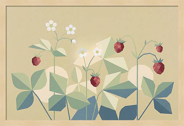Wild Strawberry Plant Delight