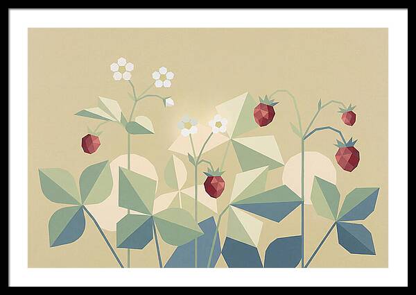 Wild Strawberry Plant Delight
