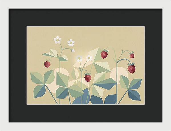 Wild Strawberry Plant Delight