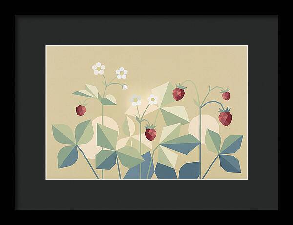 Wild Strawberry Plant Delight