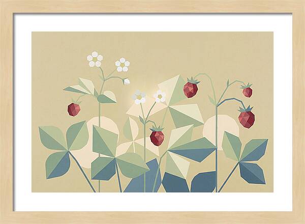 Wild Strawberry Plant Delight