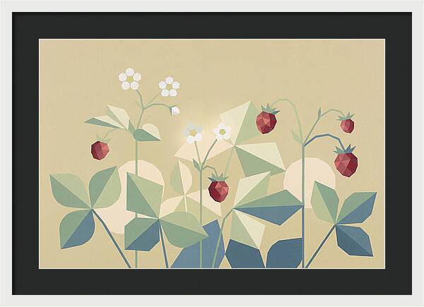 Wild Strawberry Plant Delight